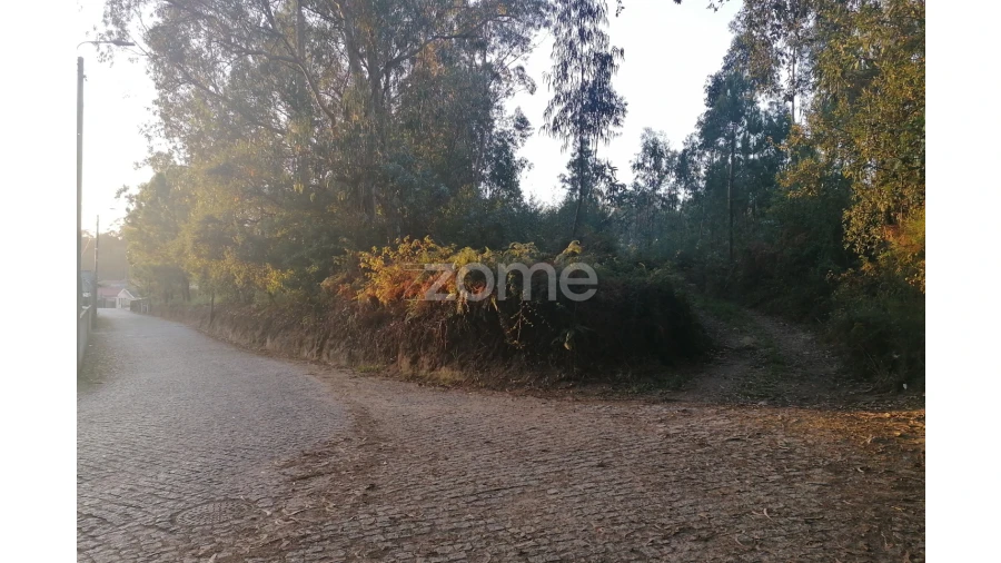 Terreno para Venda em Areias, Sequeirô, Lama e Palmeira Foto 7