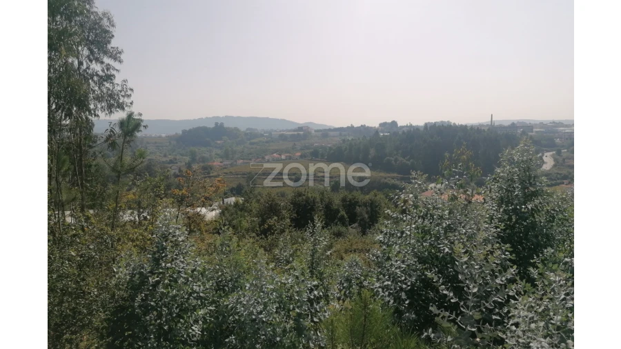 Terreno para Venda em Areias, Sequeirô, Lama e Palmeira Foto 13