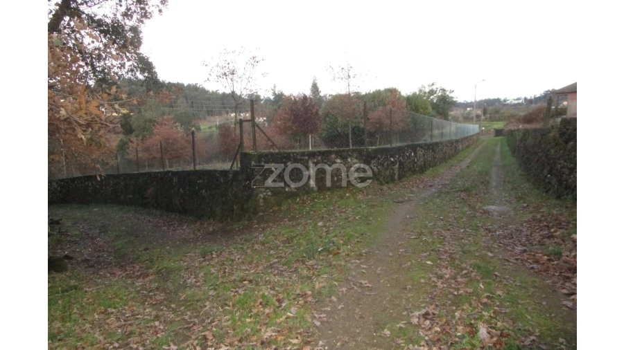 Terreno para Venda em Areias, Sequeirô, Lama e Palmeira Foto 6