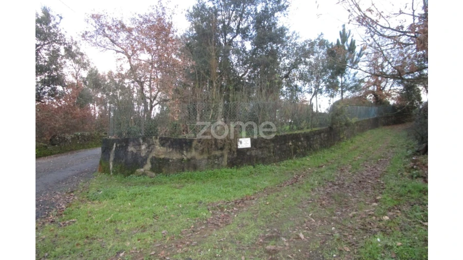 Terreno para Venda em Areias, Sequeirô, Lama e Palmeira Foto 3