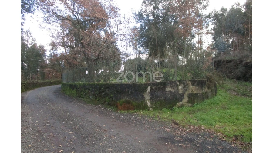 Terreno para Venda em Areias, Sequeirô, Lama e Palmeira Foto 4