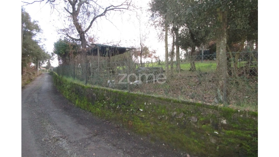 Terreno para Venda em Areias, Sequeirô, Lama e Palmeira Foto 1