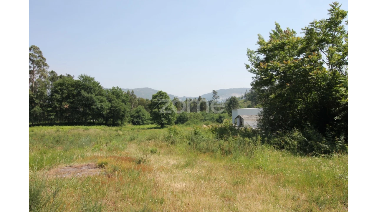 Terreno para Venda em Vilela Foto 10