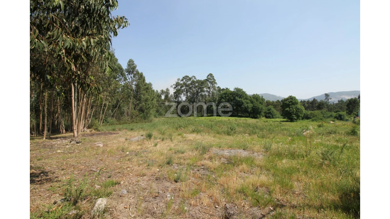 Terreno para Venda em Vilela Foto 3