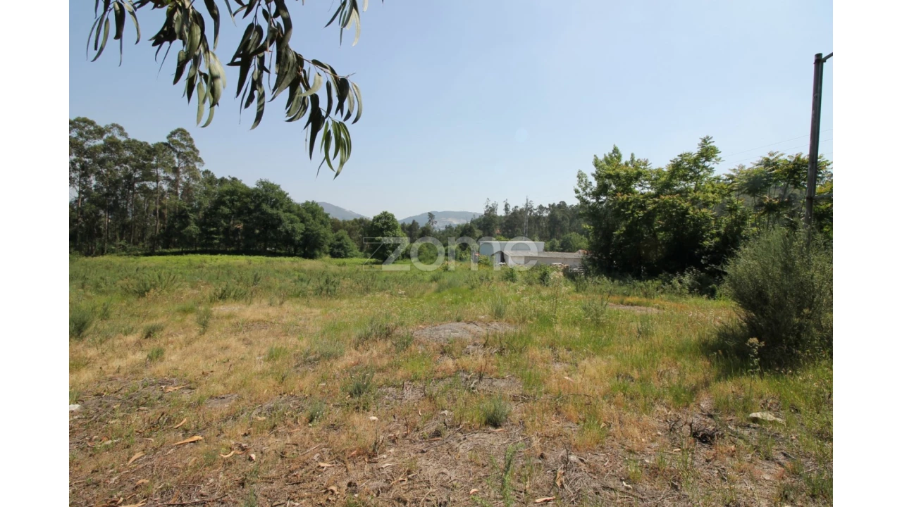 Terreno para Venda em Vilela Foto 7