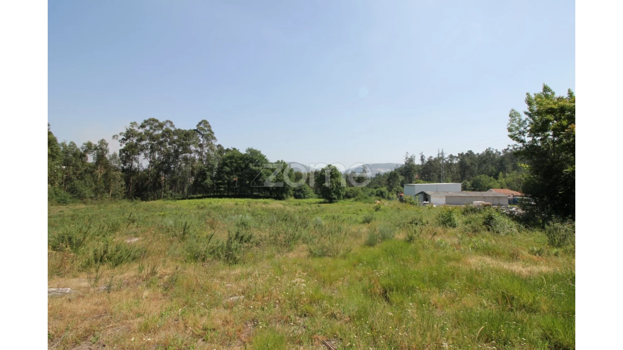 Terreno para Venda em Vilela Foto 8