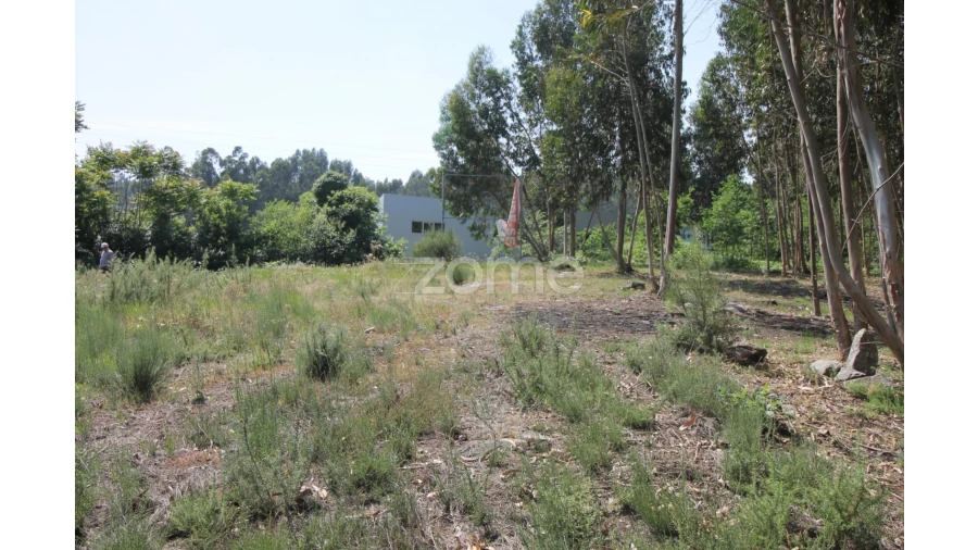 Terreno para Venda em Vilela Foto 15