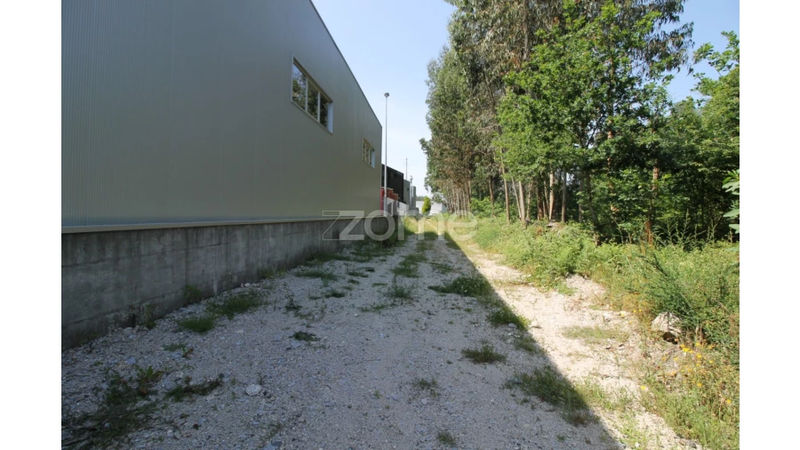 Terreno para Venda em Vilela Foto 6