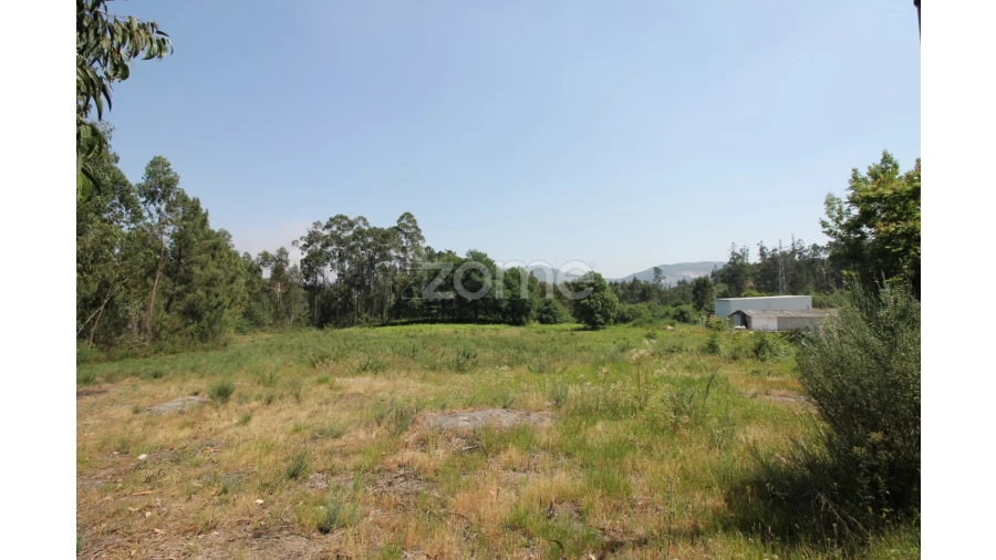 Terreno para Venda em Vilela Foto 2