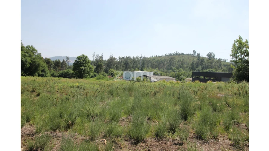 Terreno para Venda em Vilela Foto 4