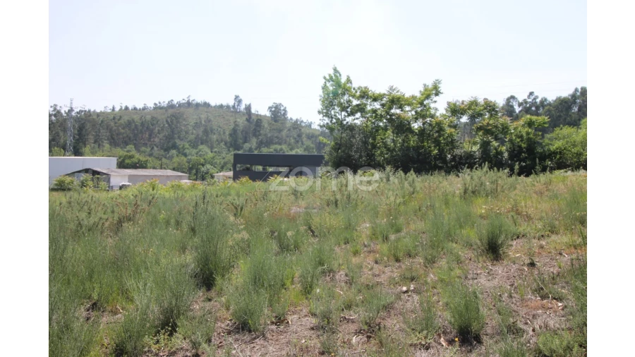 Terreno para Venda em Vilela Foto 9