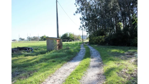 Terreno para Venda em Torreira