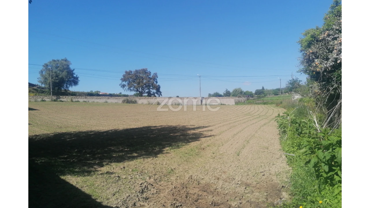 Terreno para Venda em Apúlia e Fão Foto 14