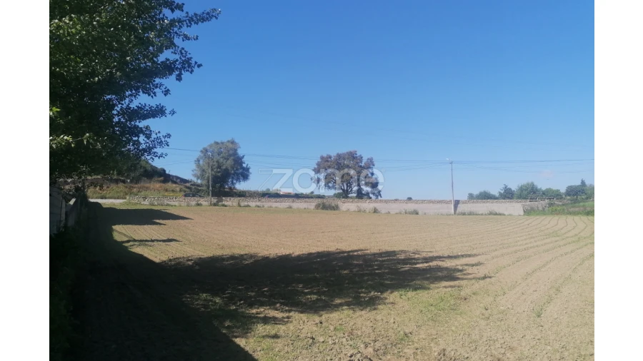Terreno para Venda em Apúlia e Fão Foto 15