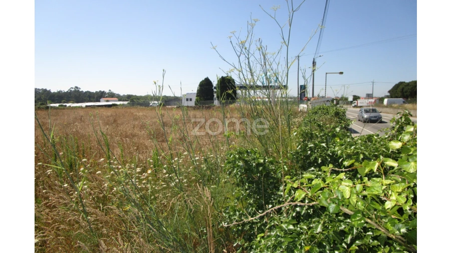 Terreno para Venda em Apúlia e Fão Foto 8