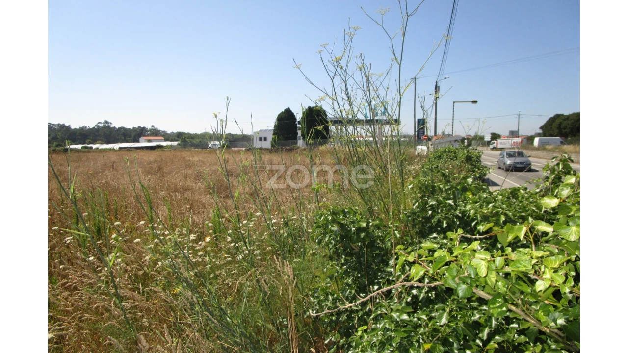 Terreno para Venda em Apúlia e Fão Foto 8