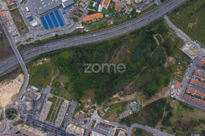 Terreno para Venda em Valongo
