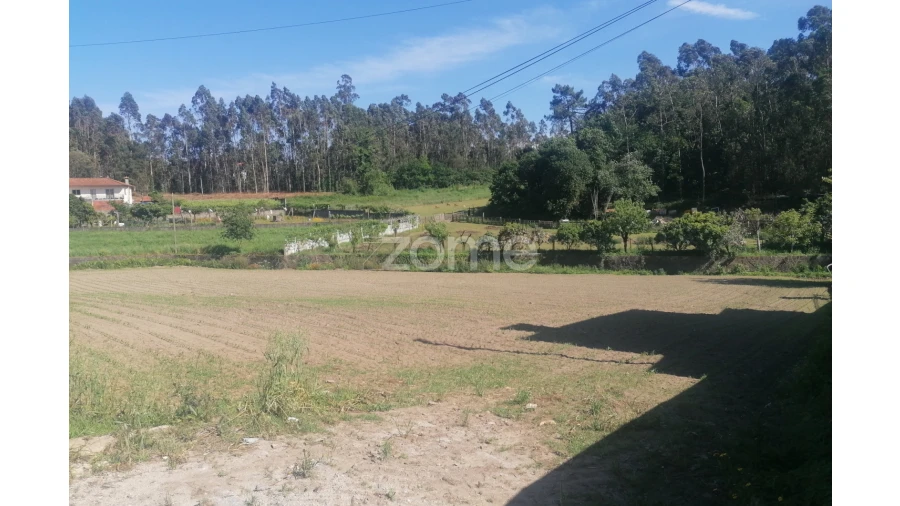 Terreno para Venda em Marco Foto 15
