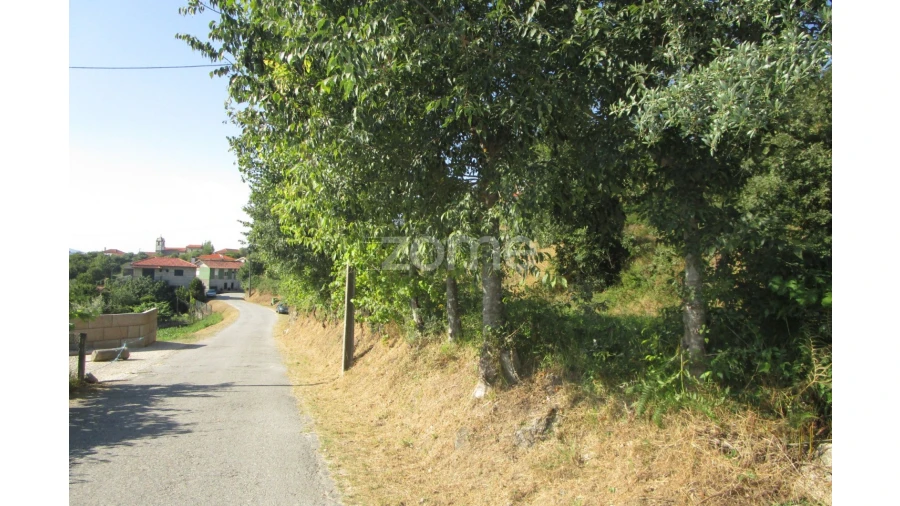 Terreno para Venda em Marco Foto 3