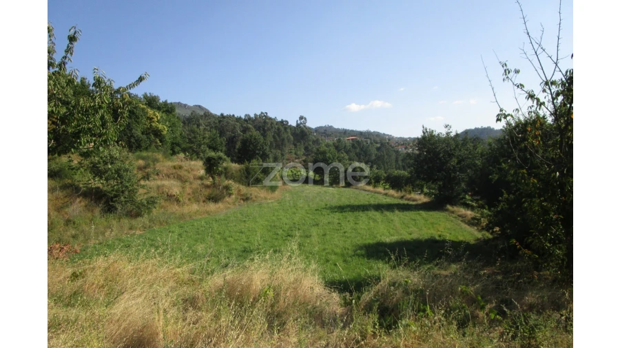 Terreno para Venda em Marco Foto 11