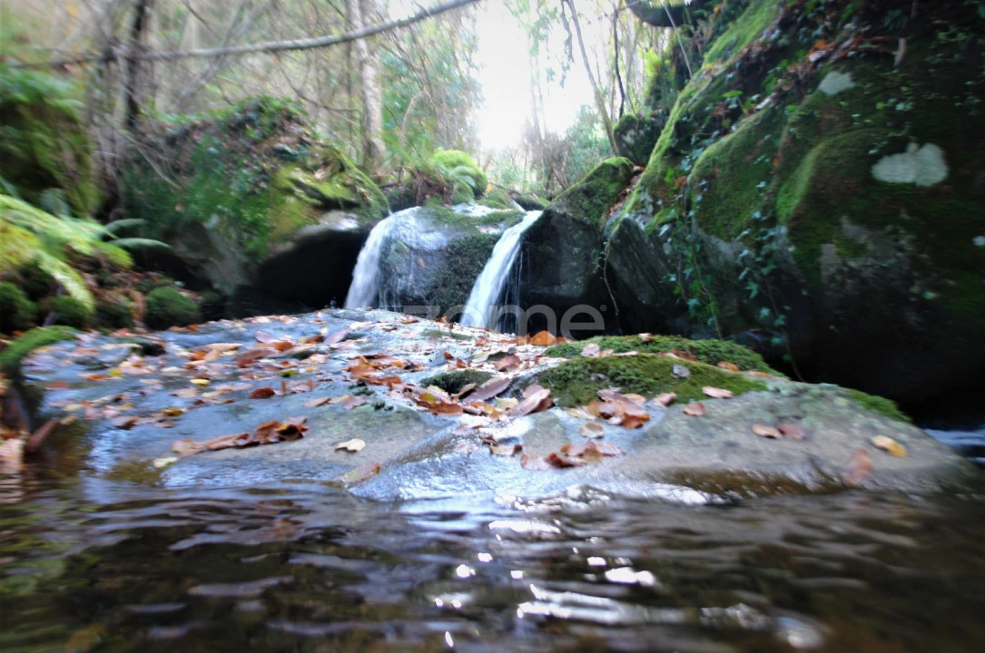Quinta T3 para Venda em Sabrosa Foto 21