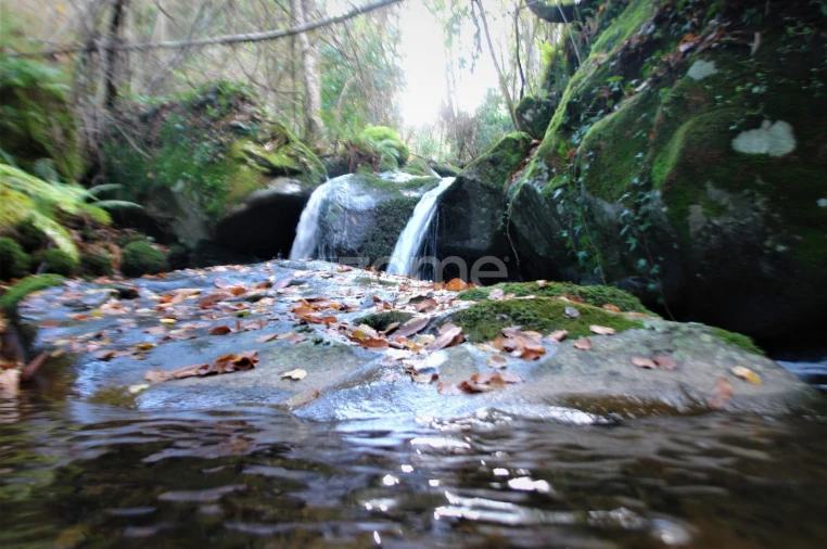 Quinta T3 para Venda em Sabrosa Foto 21