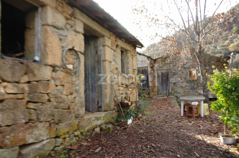 Quinta T3 para Venda em Sabrosa Foto 4