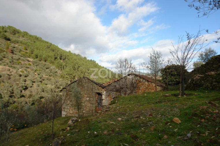 Quinta T3 para Venda em Sabrosa Foto 7