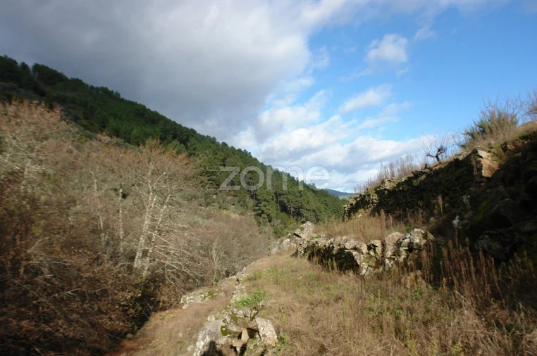 Quinta T3 para Venda em Sabrosa Foto 9