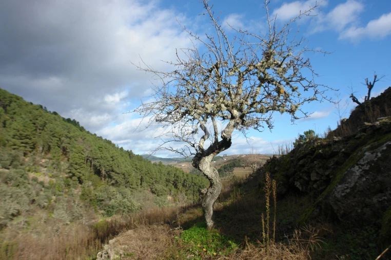 Quinta T3 para Venda em Sabrosa Foto 10