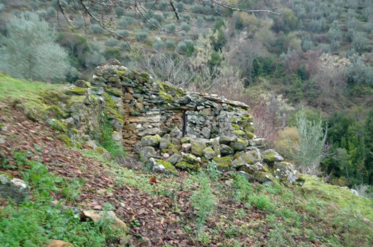 Quinta T3 para Venda em Sabrosa Foto 11