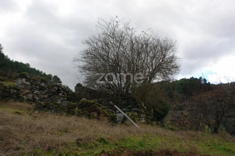 Quinta T3 para Venda em Sabrosa Foto 12