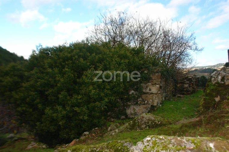 Quinta T3 para Venda em Sabrosa Foto 13