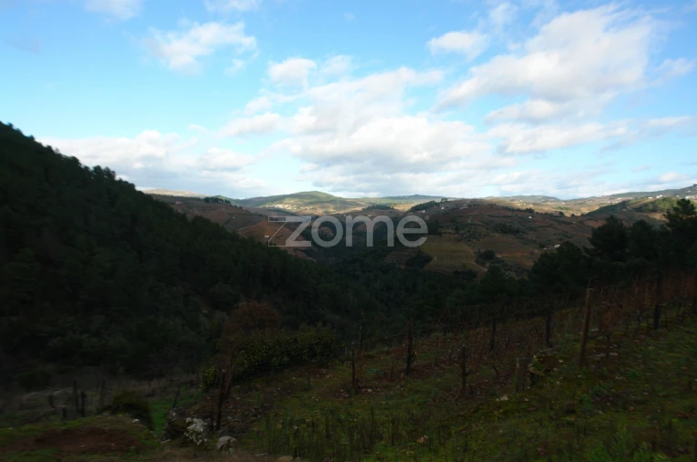 Quinta T3 para Venda em Sabrosa Foto 15