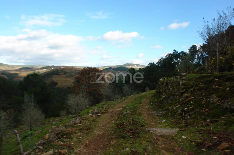 Quinta T3 para Venda em Sabrosa Foto 19