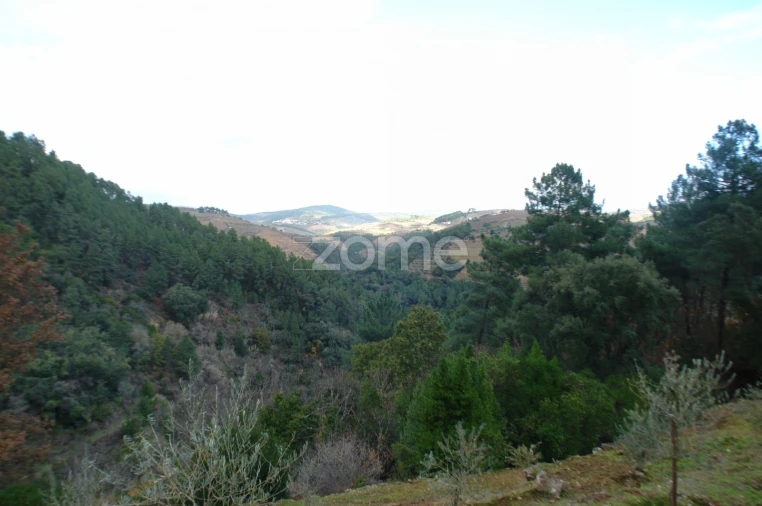 Quinta T3 para Venda em Sabrosa Foto 20