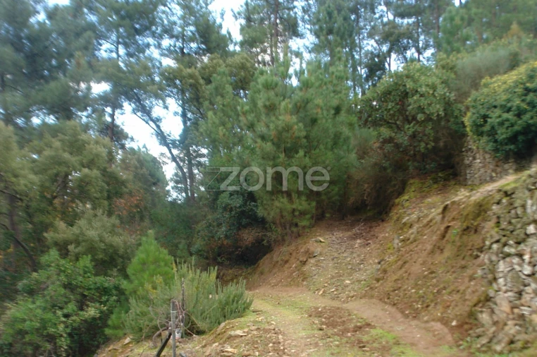 Quinta T3 para Venda em Sabrosa Foto 22