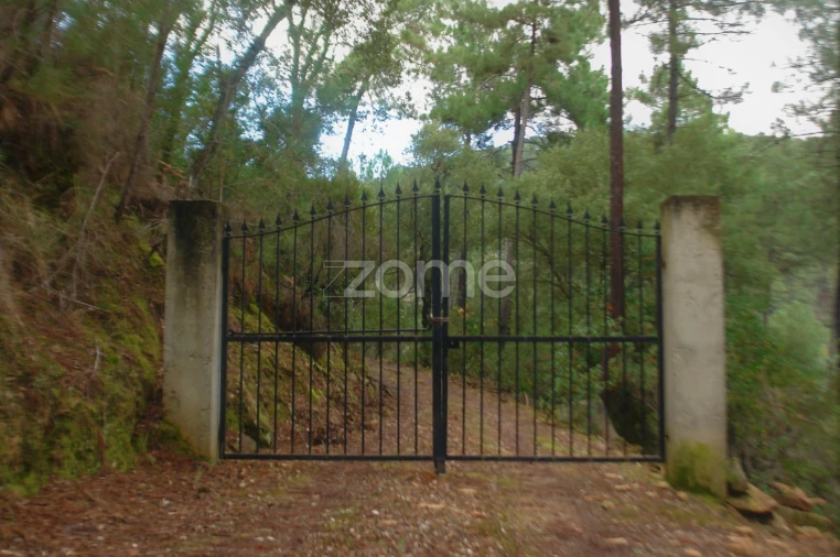 Quinta T3 para Venda em Sabrosa Foto 23