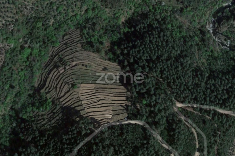 Quinta T3 para Venda em Sabrosa Foto 25