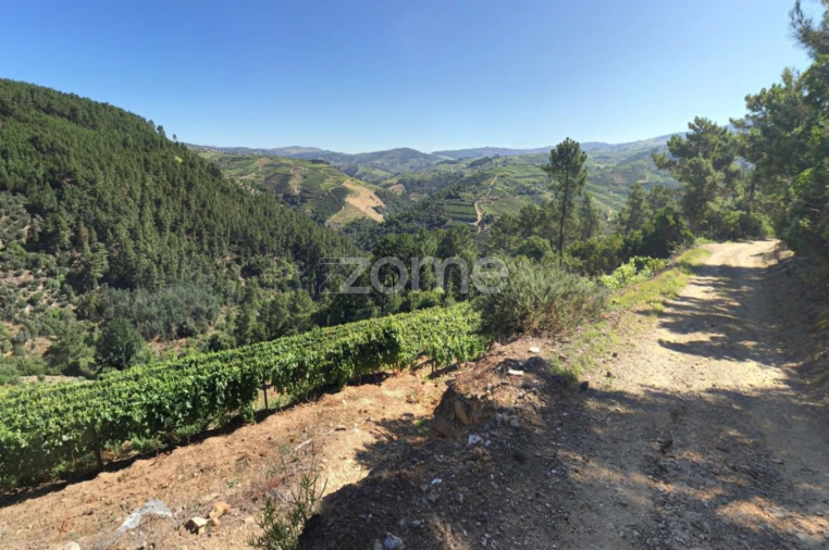 Quinta T3 para Venda em Sabrosa Foto 27