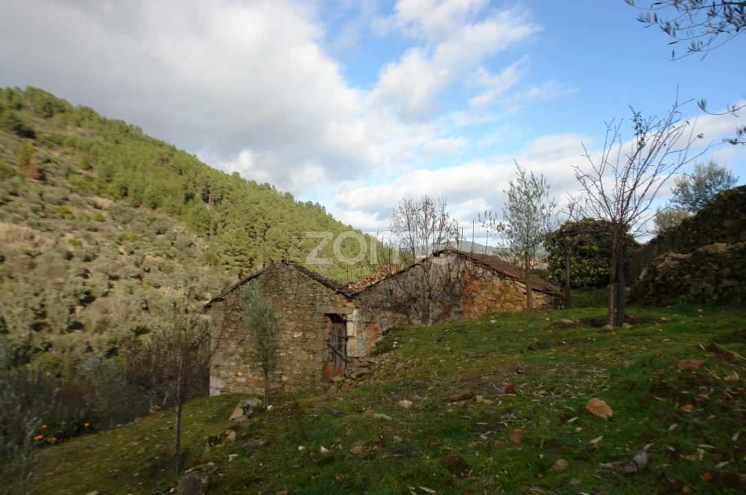 Quinta T3 para Venda em Sabrosa Foto 7