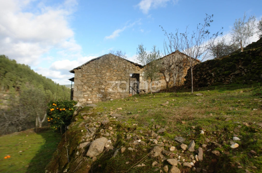 Quinta T3 para Venda em Sabrosa Foto 1