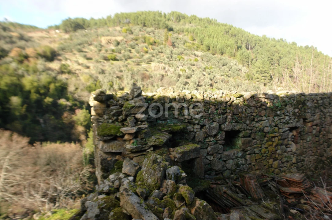 Quinta T3 para Venda em Sabrosa Foto 8
