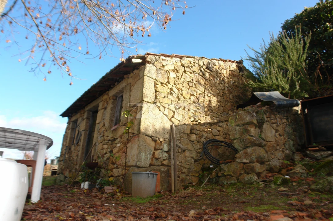 Quinta T3 para Venda em Sabrosa Foto 6