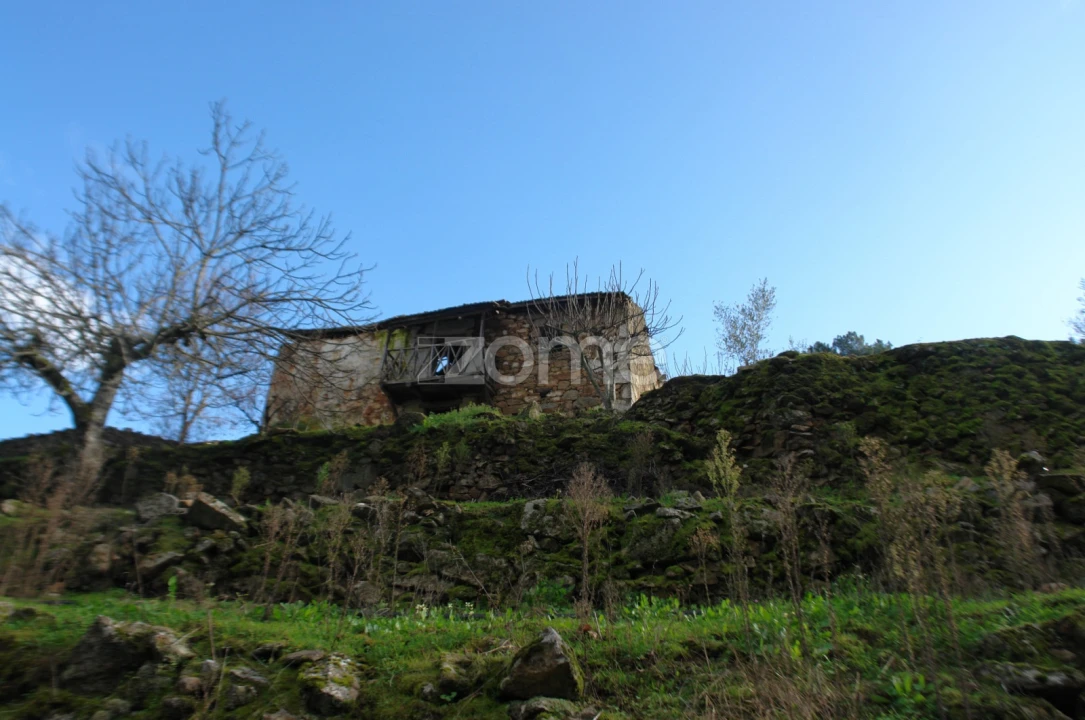 Quinta T3 para Venda em Sabrosa Foto 2