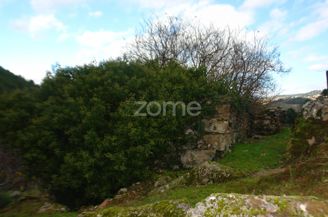 Quinta T3 para Venda em Sabrosa Foto 13