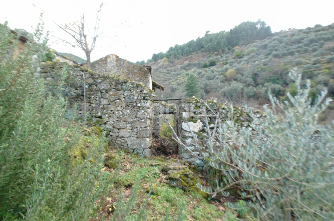 Quinta T3 para Venda em Sabrosa Foto 18