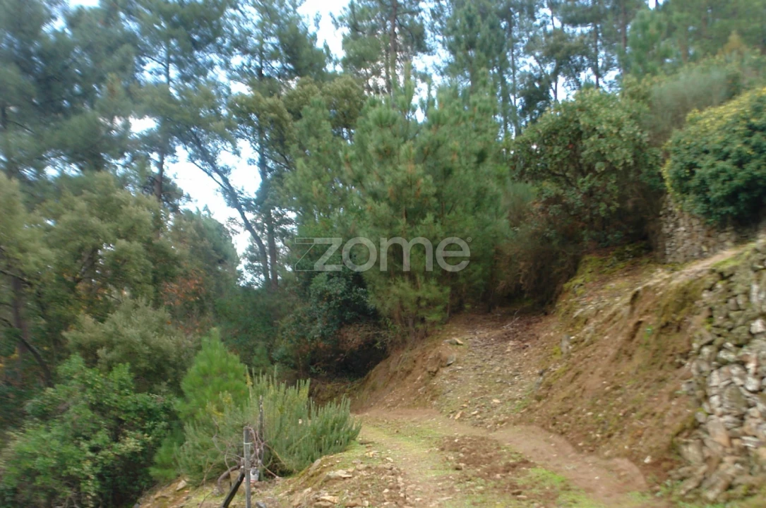 Quinta T3 para Venda em Sabrosa Foto 22