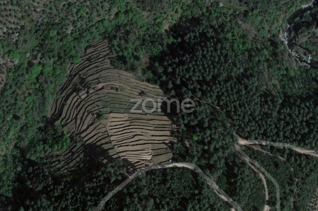 Quinta T3 para Venda em Sabrosa Foto 25