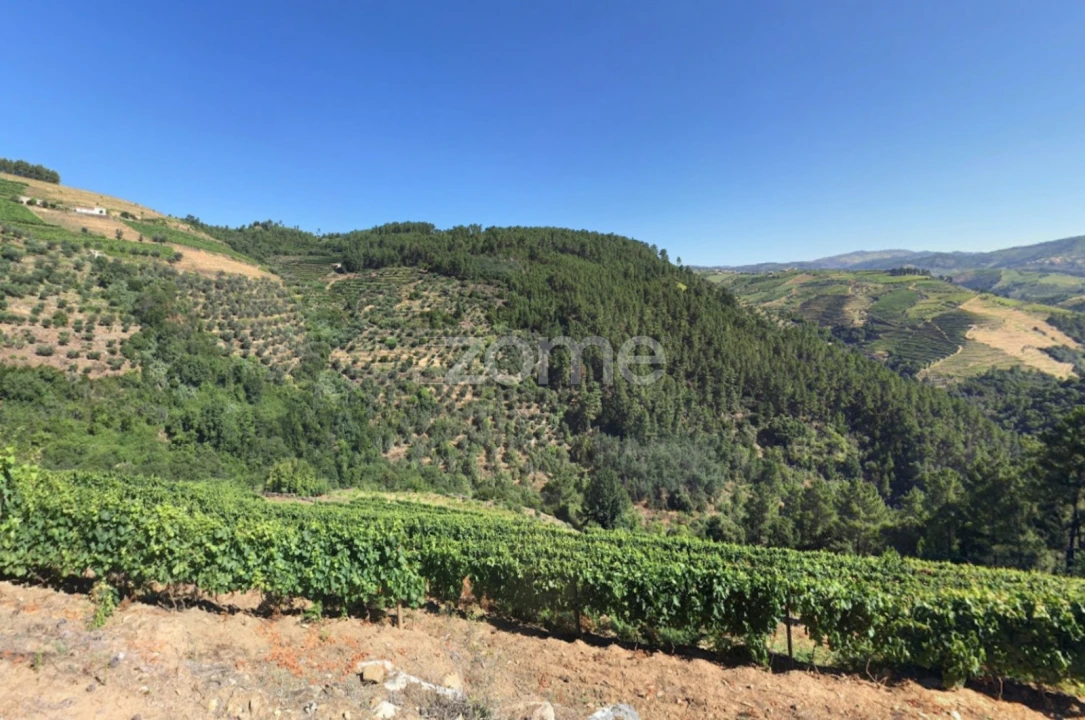 Quinta T3 para Venda em Sabrosa Foto 26